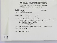 登錄號:F0020428藏品圖，第2張