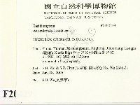 登錄號:F0020429藏品圖，第2張