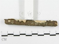 登錄號:F0020429藏品圖，第5張