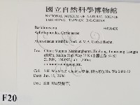 登錄號:F0020430藏品圖，第2張