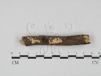登錄號:F0020430藏品圖，第3張