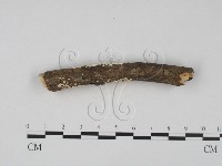 登錄號:F0020430藏品圖，第4張