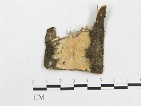 登錄號:F0020431藏品圖，第1張
