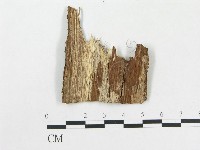 登錄號:F0020431藏品圖，第3張