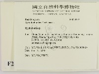 登錄號:F0020432藏品圖，第2張