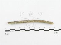 登錄號:F0020432藏品圖，第3張