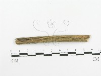 登錄號:F0020432藏品圖，第4張