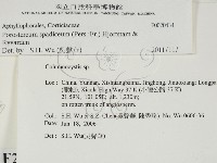 登錄號:F0020434藏品圖，第2張
