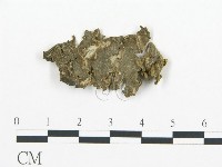 登錄號:F0020434藏品圖，第1張