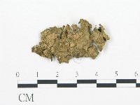 登錄號:F0020434藏品圖，第3張