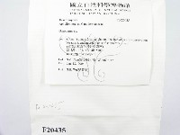 靈芝屬藏品圖，第2張
