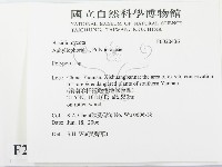多孔菌屬藏品圖，第2張