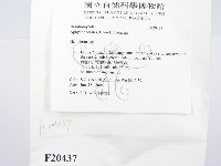 靈芝屬藏品圖，第2張