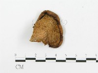 登錄號:F0020438藏品圖，第3張