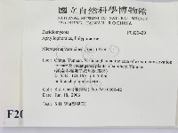 登錄號:F0020439藏品圖，第2張
