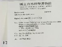 登錄號:F0020441藏品圖，第2張