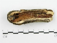 登錄號:F0020441藏品圖，第4張