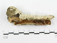 登錄號:F0020441藏品圖，第5張