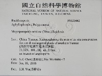 登錄號:F0020442藏品圖，第2張