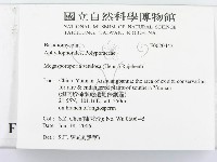 登錄號:F0020442藏品圖，第3張