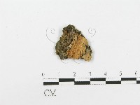 登錄號:F0020444藏品圖，第1張