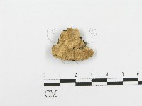 登錄號:F0020444藏品圖，第3張