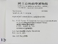 登錄號:F0020445藏品圖，第2張
