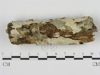 登錄號:F0020445藏品圖，第1張