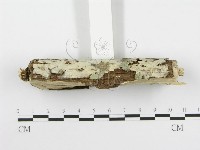 登錄號:F0020445藏品圖，第4張