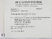 相鄰小孔菌藏品圖，第2張