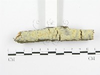 登錄號:F0020448藏品圖，第3張