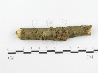 登錄號:F0020448藏品圖，第5張