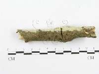 登錄號:F0020448藏品圖，第6張
