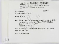 刺皮菌屬藏品圖，第2張