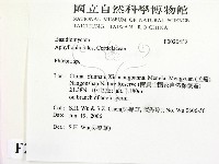 射脈菌屬藏品圖，第2張