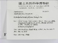 登錄號:F0020453藏品圖，第2張