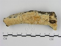登錄號:F0020453藏品圖，第1張
