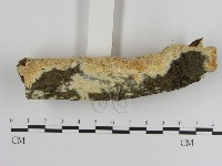 登錄號:F0020453藏品圖，第3張