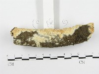 登錄號:F0020453藏品圖，第5張