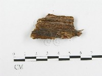 登錄號:F0020454藏品圖，第3張