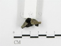 登錄號:F0020457藏品圖，第4張