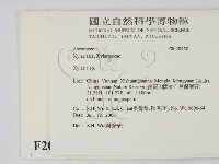 炭角菌屬藏品圖，第2張