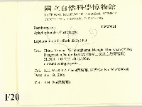 館號:F0020461藏品圖，第2張