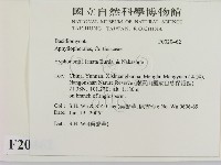 登錄號:F0020462藏品圖，第2張