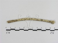 登錄號:F0020462藏品圖，第1張