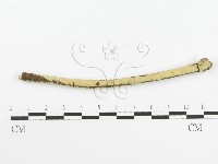 登錄號:F0020462藏品圖，第3張