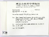 登錄號:F0020463藏品圖，第2張
