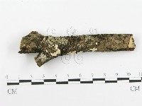 登錄號:F0020463藏品圖，第4張