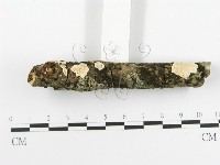 登錄號:F0020463藏品圖，第5張