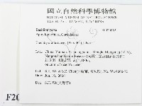 登錄號:F0020465藏品圖，第2張
